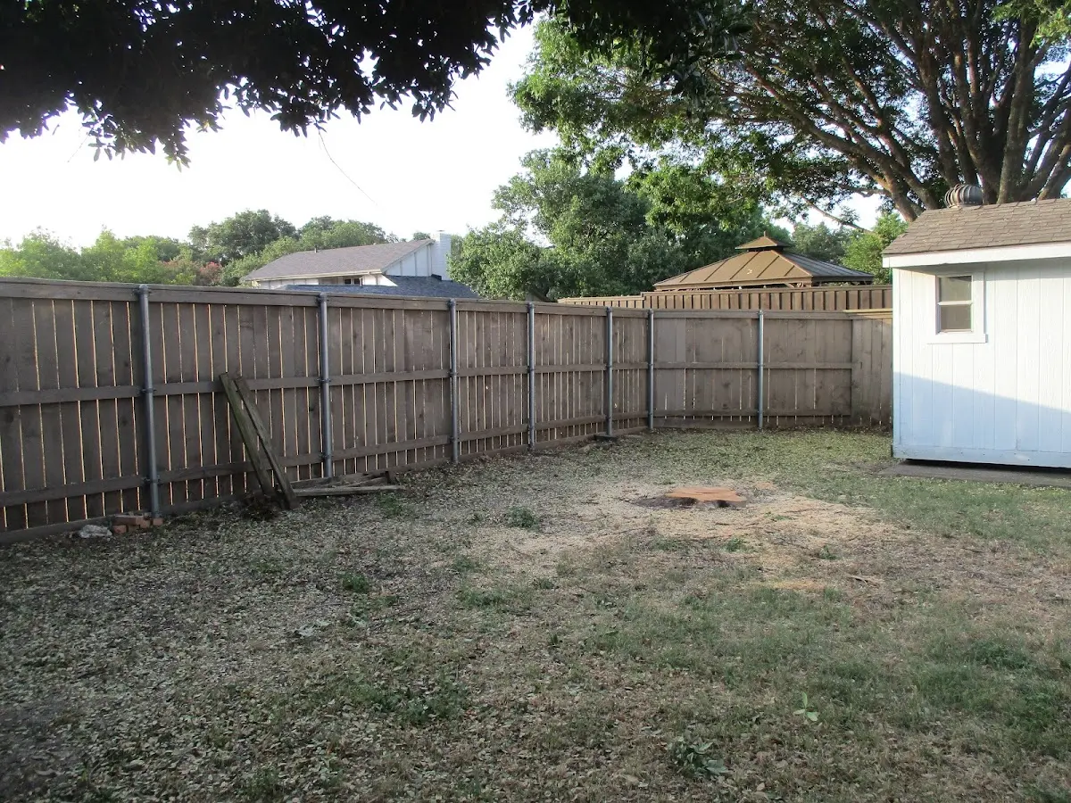 Cleared yard after professional tree removal in Glenfield