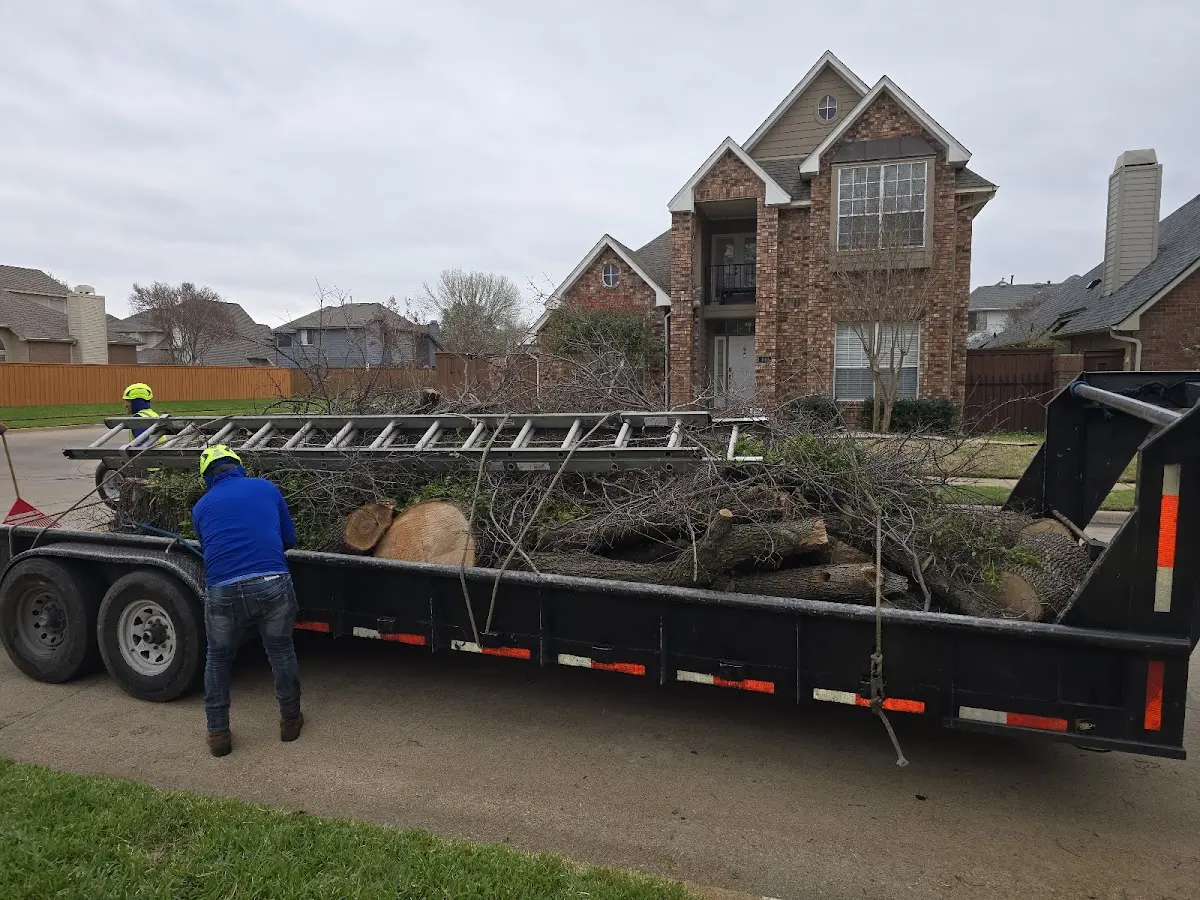 Expert Tree Fertilization with proper safety equipment in Glenfield